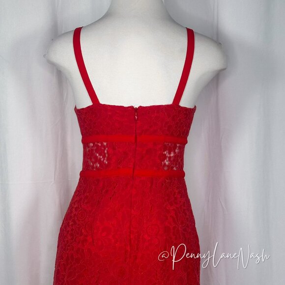 Express Red Piped Lace Midi Sheath Dress - Picture 11 of 16